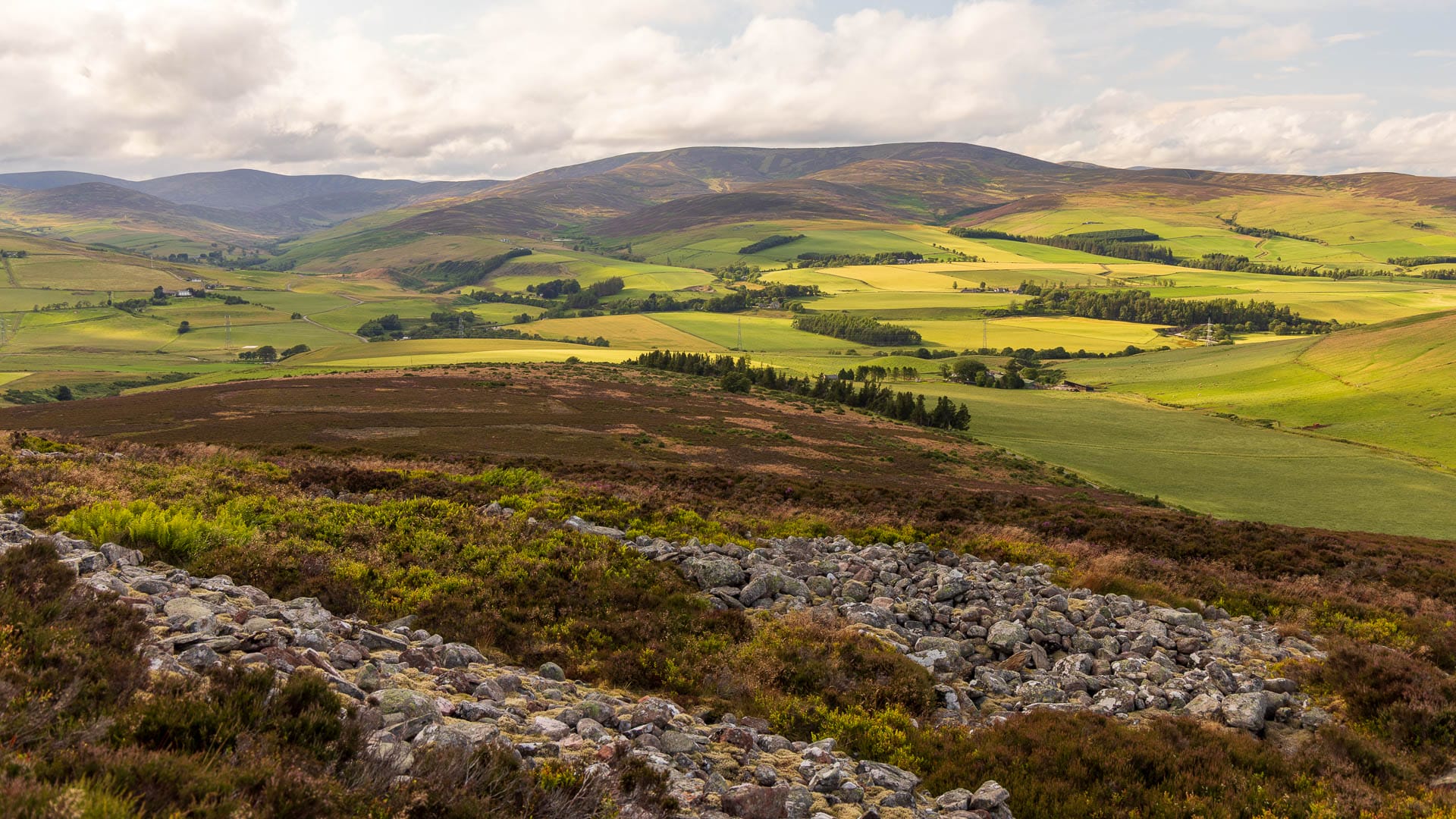 A view over the Angus glens and Strathmore farmland from a heather-clad hilltop