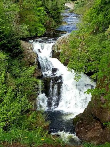 Reekie Linn waterfall tumbling through a wooded gorge on the River Isla